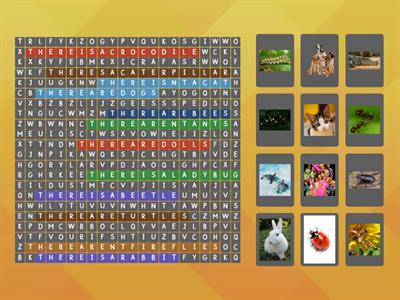 Ingles Mesmo-H1 Ch1  Bug life Wordsearch