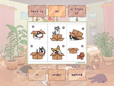 Prepositions in, on, under, behind, in front of, next to