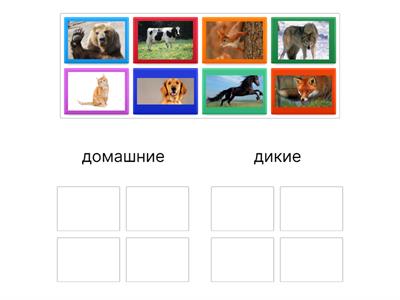 домашние и дикие животные 