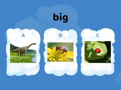 Mr. Figueroa ESL - Adjectives Kindergarten