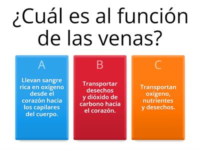  Sistema circulatorio