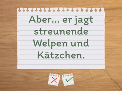 Redflags (Niveau B1-C1)