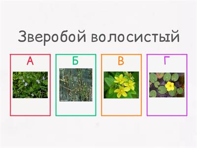 Исчезающие виды Гродненской области