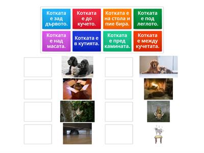Къде е котката? предлози за място