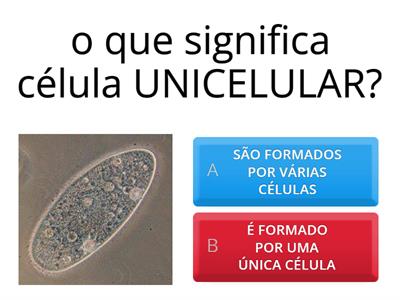 CIÊNCIAS: CÉLULAS