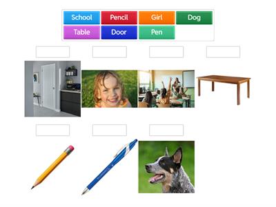 Basic English Vocabulary Game