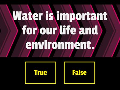 True  or  False  by  Ferdaus  and  Seleen,Teacher  Tiziana,  Italy.