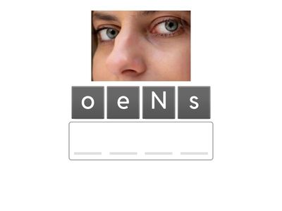 Arrange the Words - Part Of Body