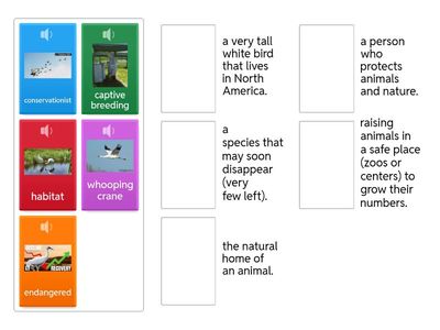 Carias 6th Grade Whooping Cranes