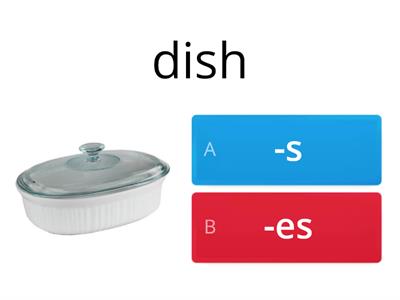 Practice Plural Noun Suffix -s or -es 