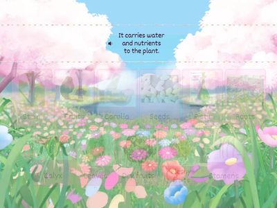 Funciones de las partes de la planta y la flor