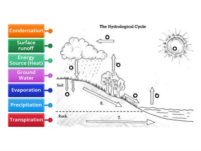 The Water Cycle: Label the Diagram