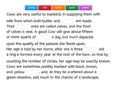 DESCRIPTIVE WRITING XI D Exercises A