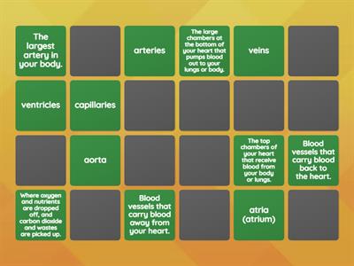Circulatory System Memory Game