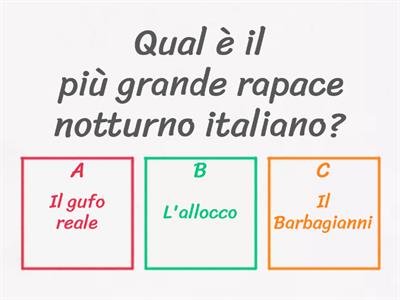 10 domande di cultura generale