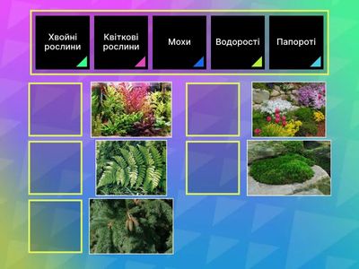 Різноманітність рослин у природі