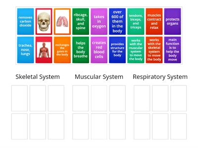 CS 5th grade Human Body Systems