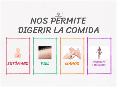 CIENCIAS T1 - 1º PRIMARIA