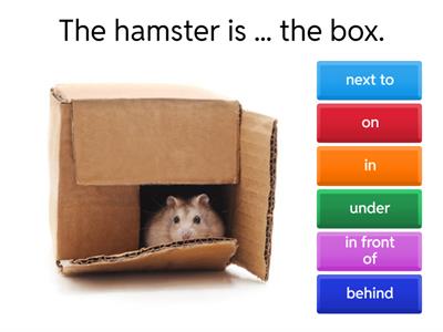 Spotlight 3 Unit 11b