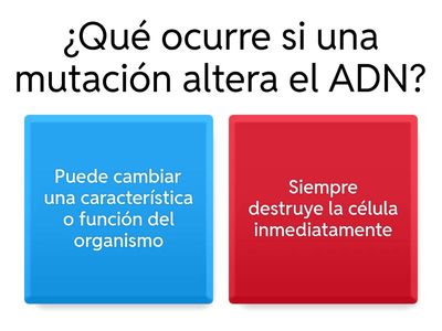 el adn