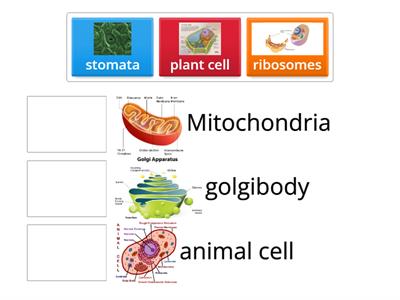 Biology