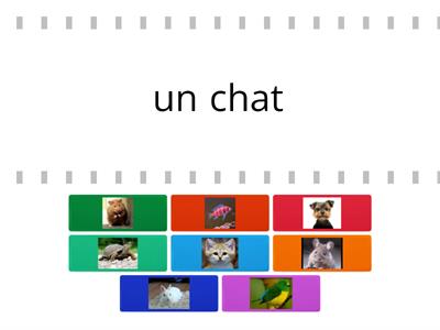 Les animaux de compagnie - fr