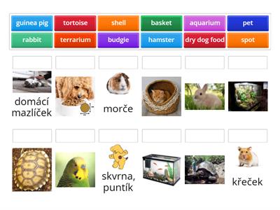 B2 - 3D+Reading - Vocabulary - Nouns