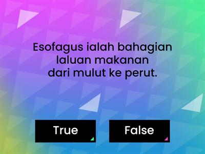 Manusia (Sistem pencernaan /Tahun 3)