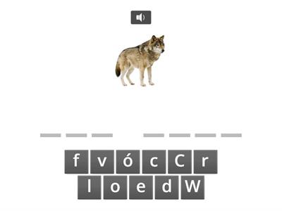 Paul, Lisa und Co. Starter - Lektion 6 - Szavak írása hallás után: állatok 1d