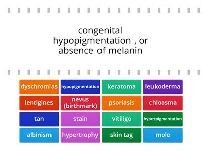 Cosmetology Chapter 8 - Vocab 3