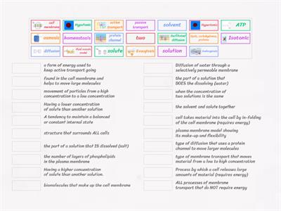 Membrane Transport Match Up