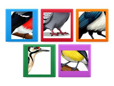 Зимующие птицы. Вспомни. Назови. Проверь. 