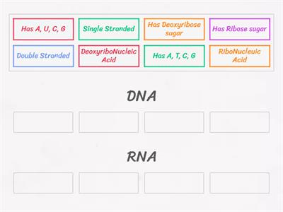 DNA vs RNA