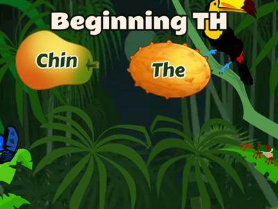 Initial, Medial, End sounds