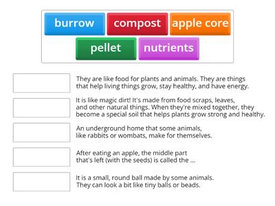 Worms vocabulary matching game