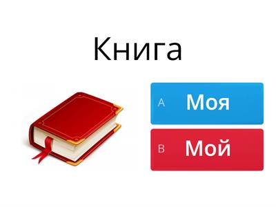 Моя или Мой