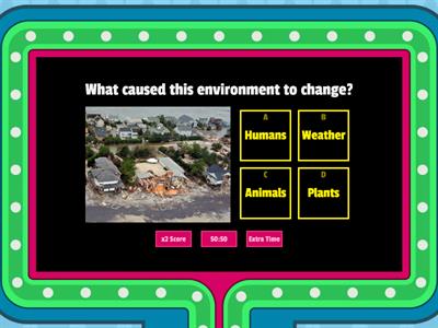Environmental Changes
