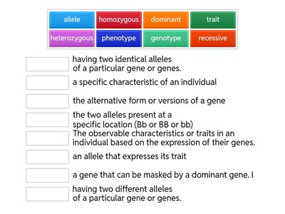 Genetic Terms