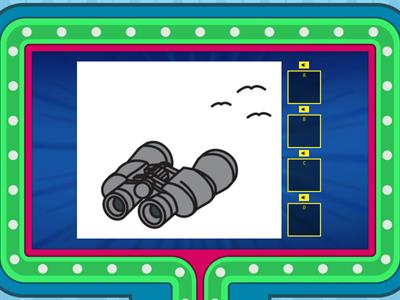 CLB 1-2: Summer Activities Past Listening Quiz