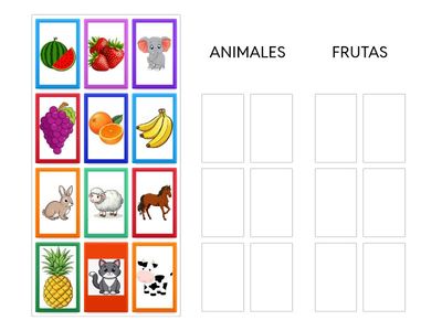 Ordena las imagenes en el grupo que corresponde