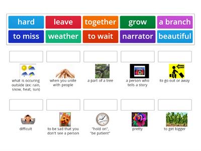 Edge unit 1: Growing Together Vocab