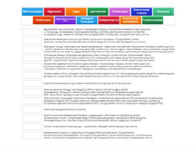 Строение растительной клетки