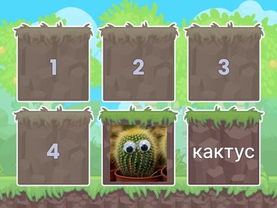 ОКРУЖАЮЩИЙ МИР