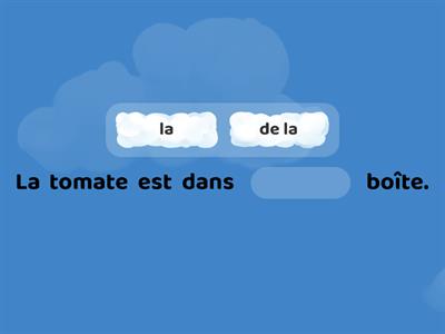 Les prépositions de lieux: article simple ou contracté