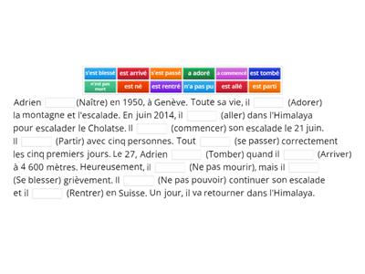 Passé composé (Compléter l'histoire)