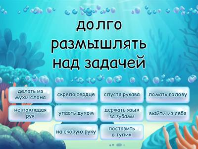 8 класс урок 2.1