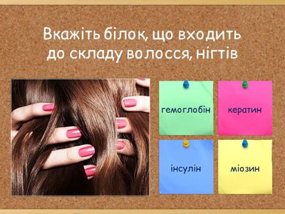 Білки, вуглеводи, ліпіди