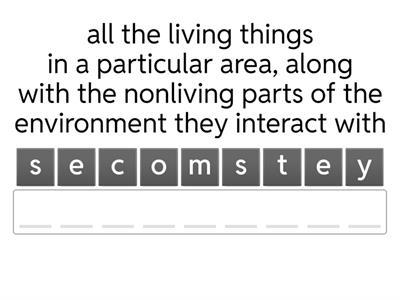 anagram Ecosystem Organization