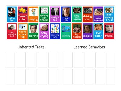 Inherited Traits and Learned Behaviors