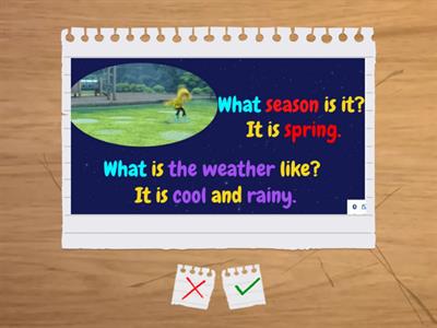 team together 1 weather